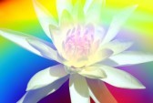coaching Espiritualidad